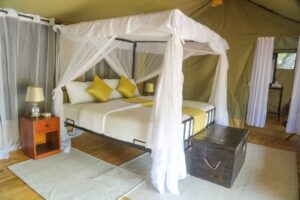 4 Day Mid-Range Lodge and 1 Night Camping Safari