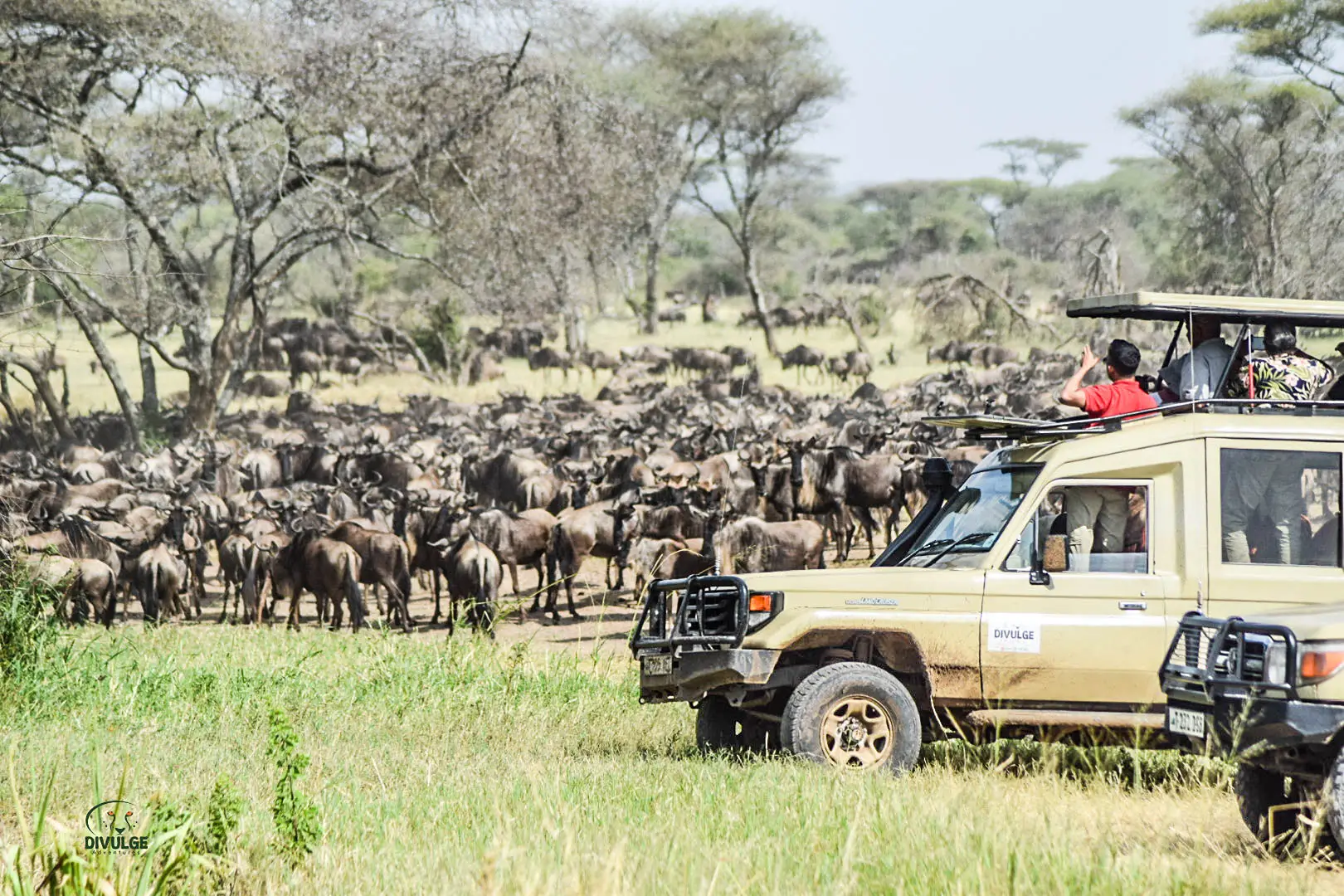 6 Day Kenya Classic Wildebeest Migration Sopa Circuit Standard Luxury Safari
