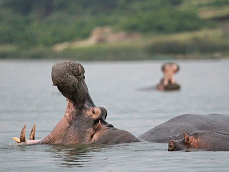 10-Day Uganda -Tanzania expedition
