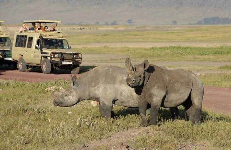 10-Day Safari and Beach Adventure