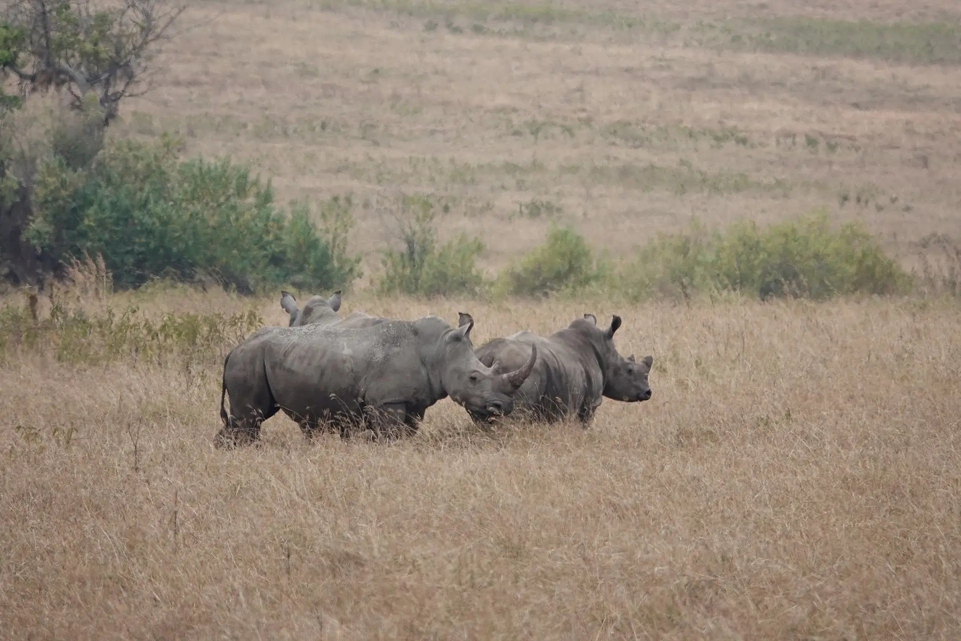 6-Day Tanzania Wildlife & Culture Explorer