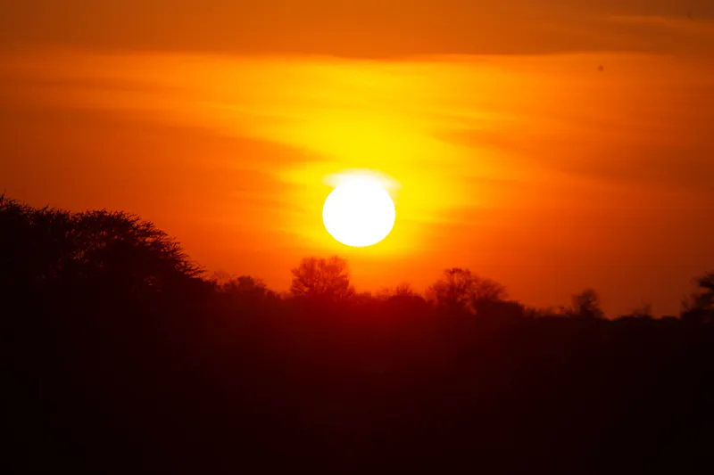 2- Day Tarangire and ngorongoro crater fly-in & fly-out from Zanzibar