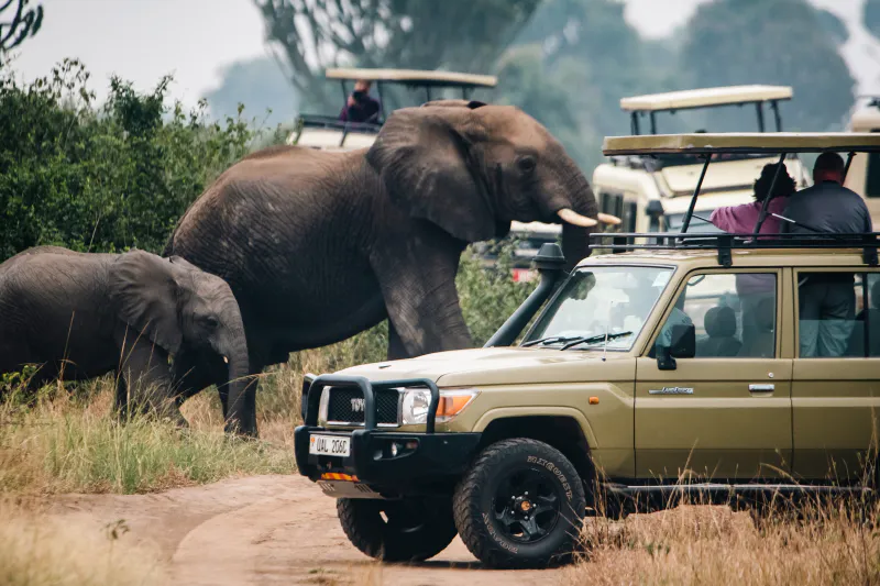 13-DAY UGANDA GRAND DISCOVERY SAFARI