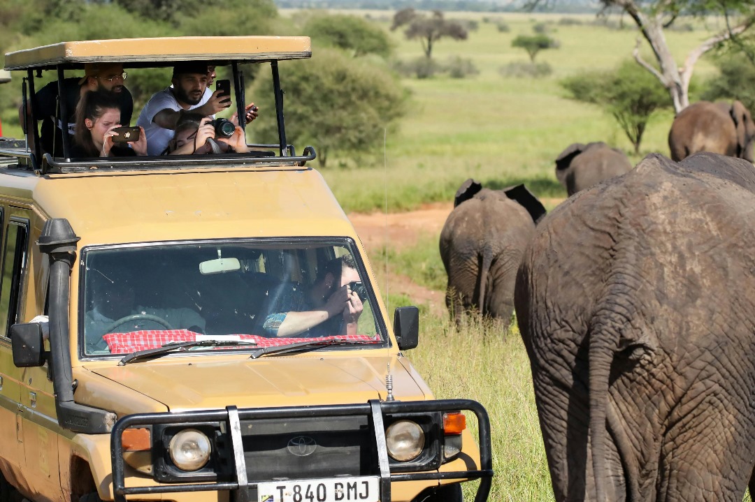 5-Day Best Ndutu Migration Calving Season Safari
