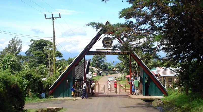 Kilimanjaro Day Trip Hike (marangu route)