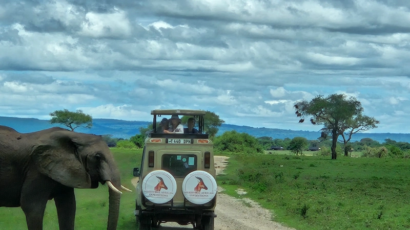 8 DAY TARANGIRE, NGORONGORO, CENTRAL SERENGETI AND NORTHERN SERENGETI