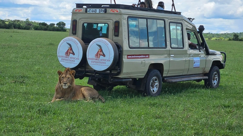 5 Day Tarangire, Serengeti and Ngorongoro Adventure