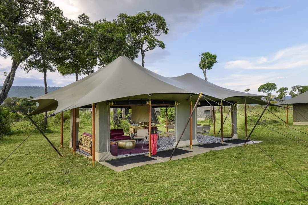 4 DAYS MASAI MARA SAFARI