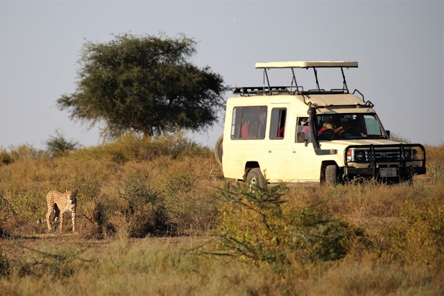 2-Day Exciting Tanzania Honeymooners Fly-in Safari