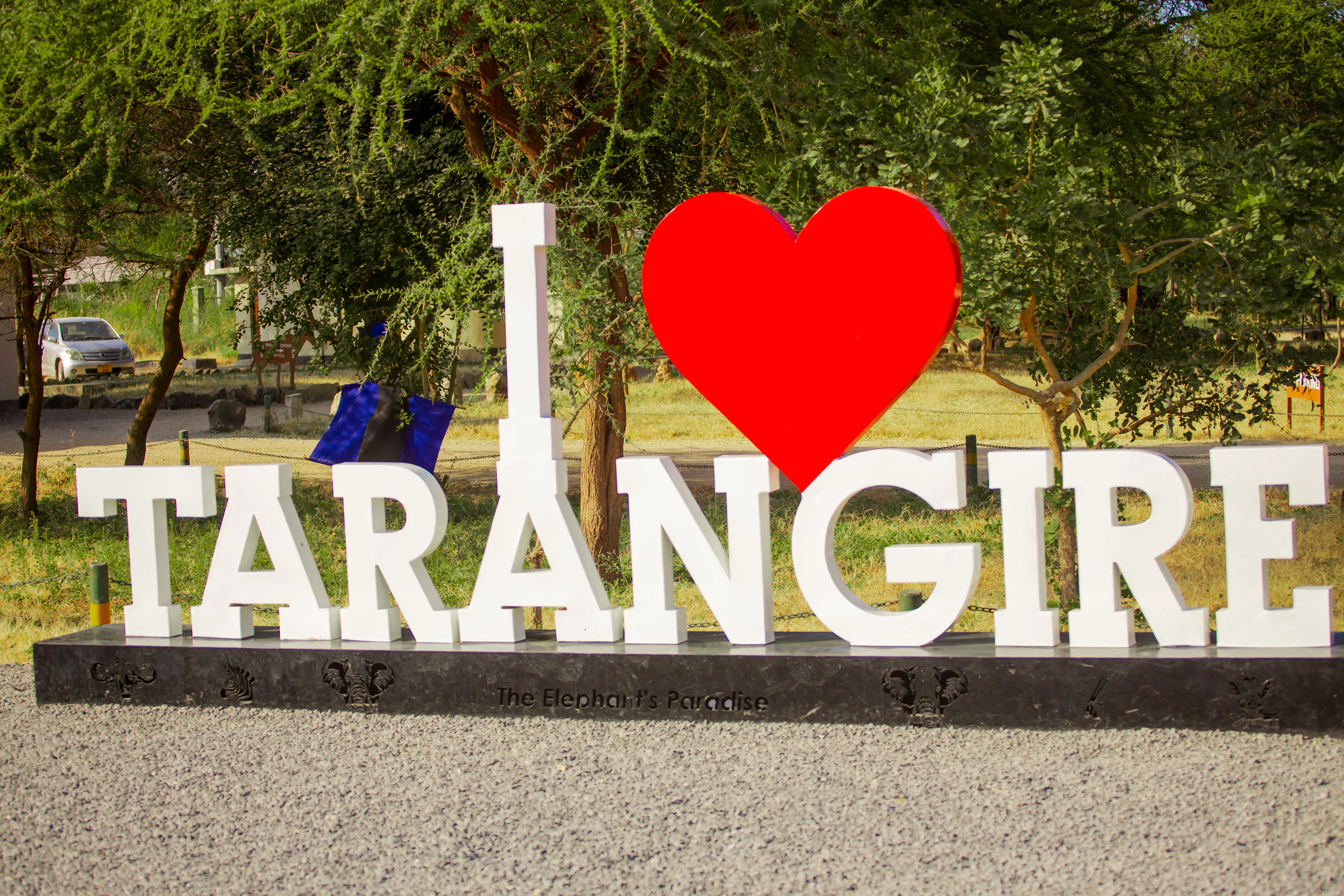 6-Day Signature Luxury Tanzania Safari – Tarangire, Serengeti, Ngorongoro & Lake Manyara
