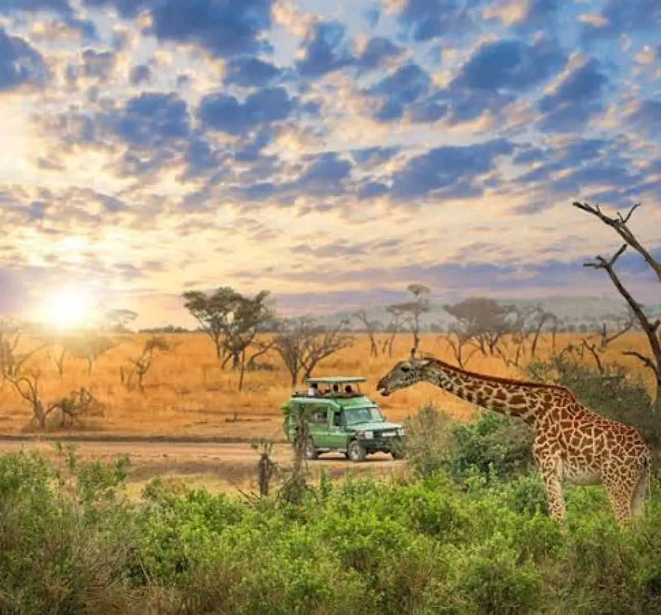 4-Day Safari to Tarangire, Ngorongoro & Serengeti National Park
