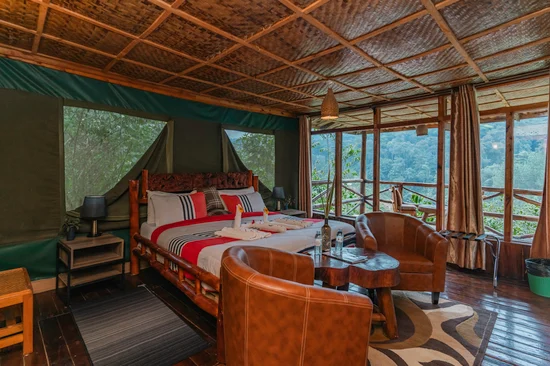 5 Days 4 Nights in Search of The Shoebill Stork and Gorillas
