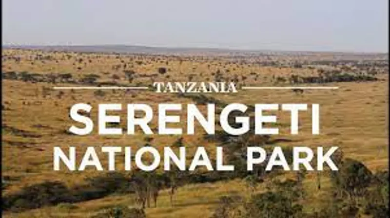 6- Days Serengeti & Ngorongoro Unique Mid-Range Safari