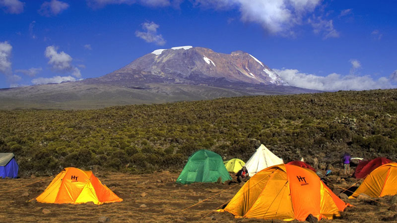 Mti Mkubwa Camp