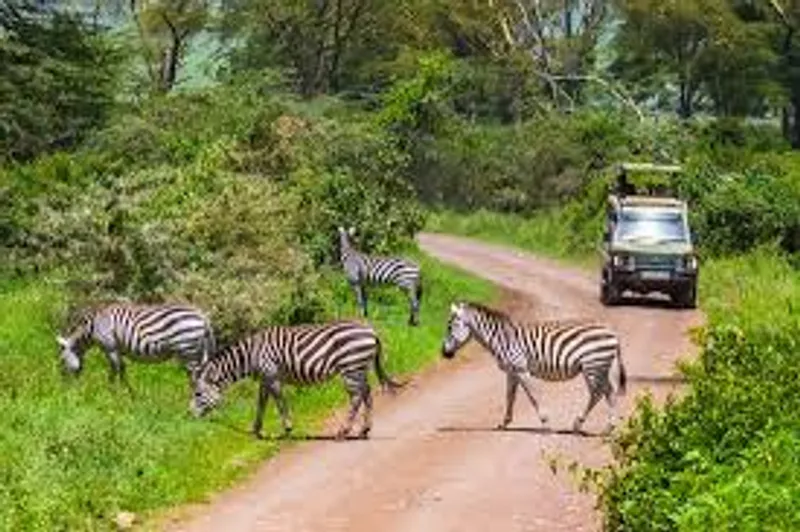 Day Trip Arusha National Park