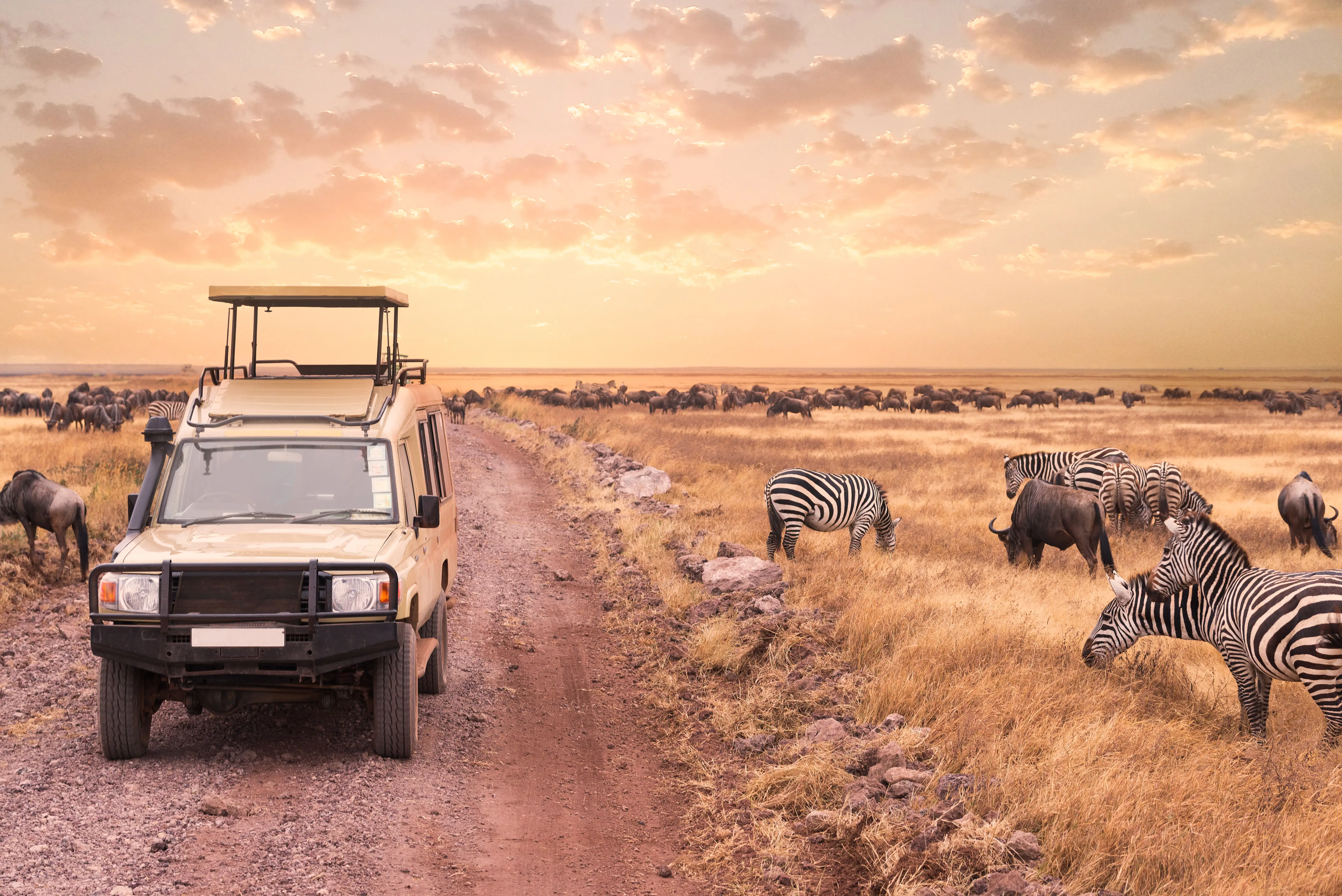 4-Day Tarangire Ngorongoro & Southern Serengeti (Ndutu)