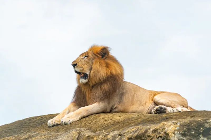 5-Day Unforgettable Fly-out in Serengeti & Zanzibar
