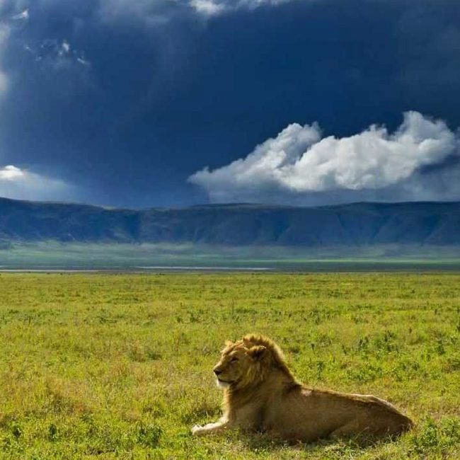 3- Day Tanzania Tour Package