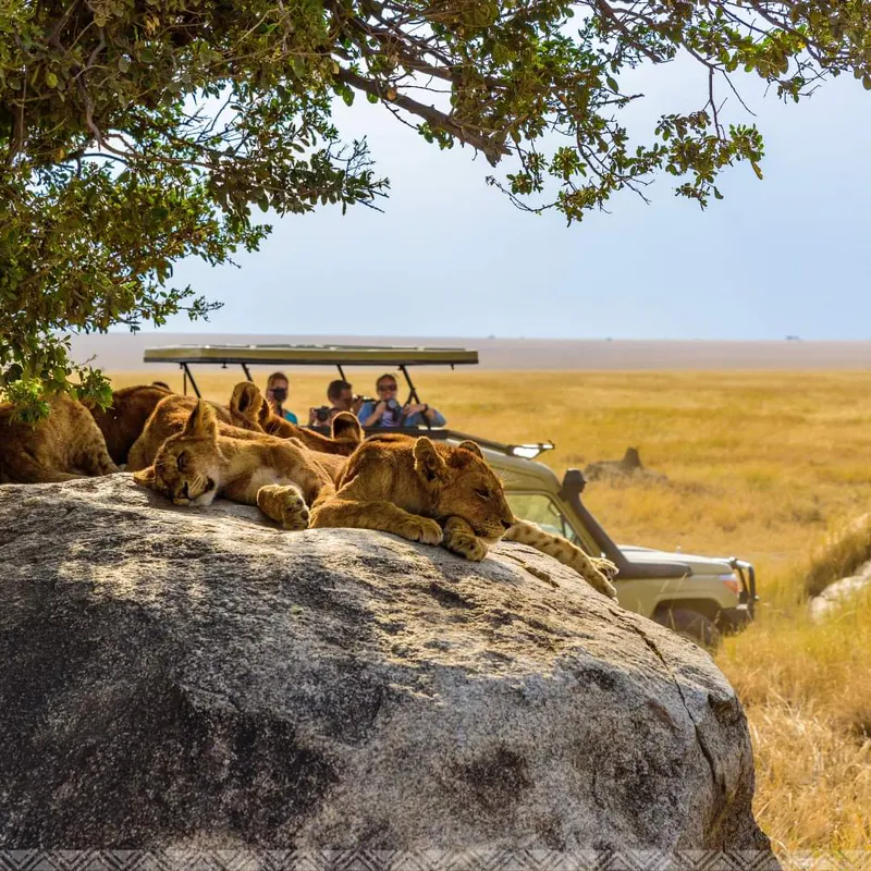 6 Days Tarangire, Lake Manyara, Serengeti, Ngorongoro