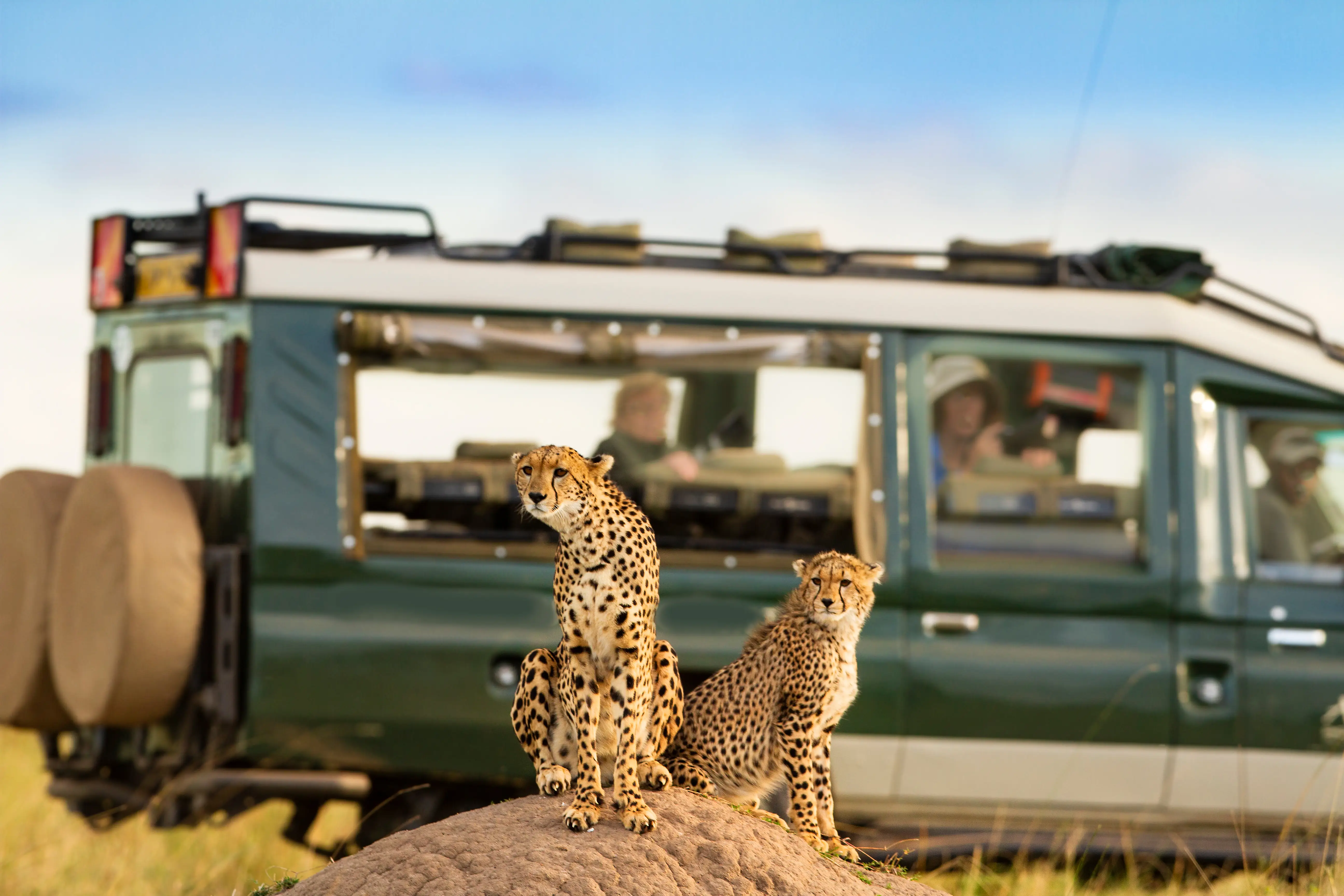 4-Day Tarangire Ngorongoro & Southern Serengeti (Ndutu)