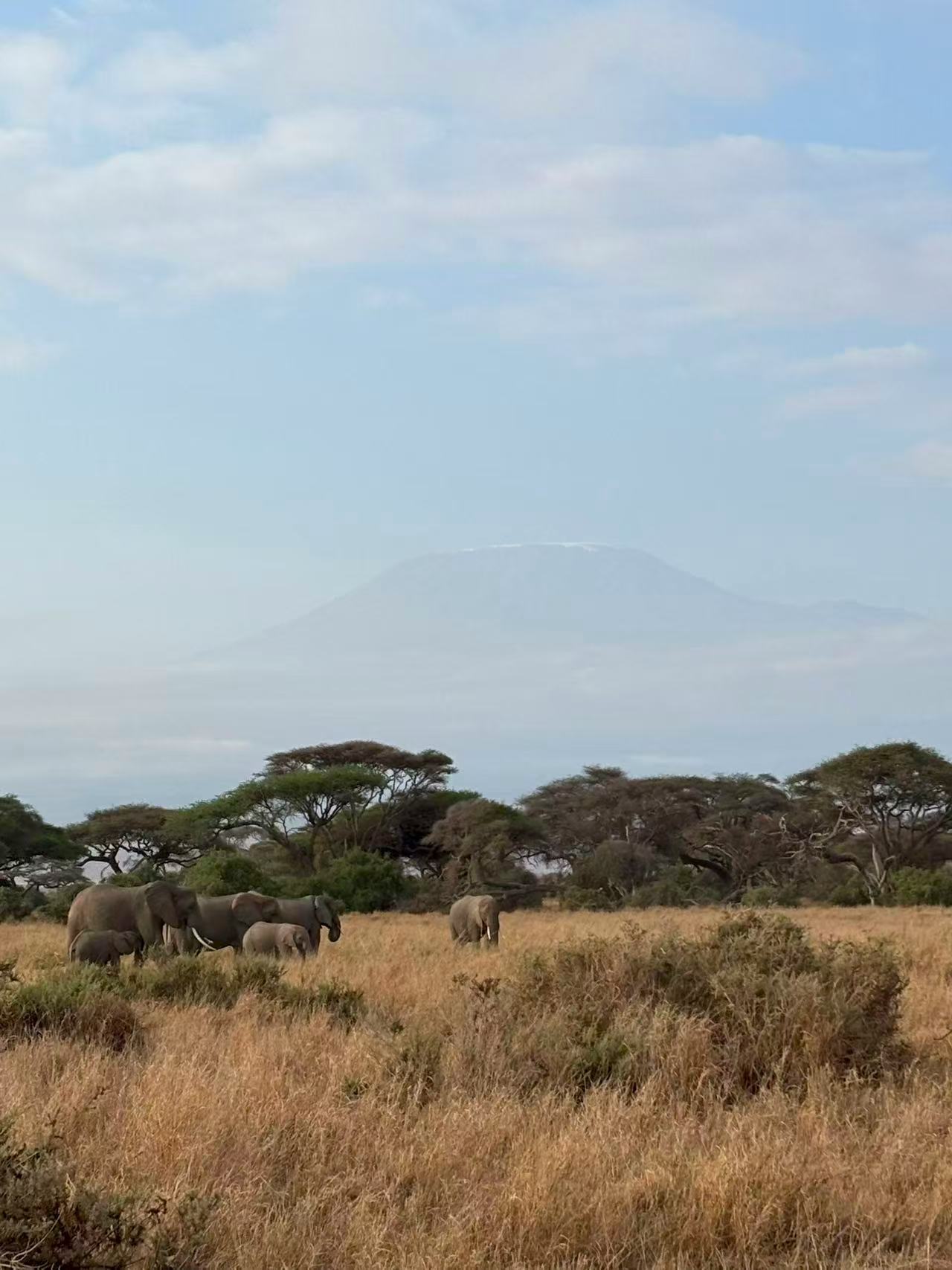 7-Day Amboseli, Naivasha, Nakuru and Masai Mara Luxury Safari