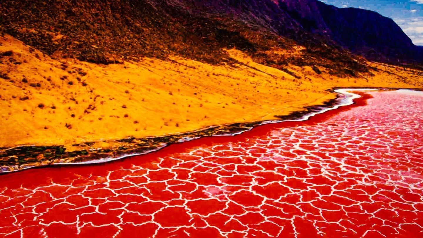2 - Days Tanzania Safari: Lake Natron & Lake Eyasi