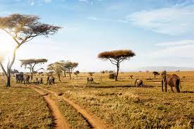3 Days Safari Serengeti Package