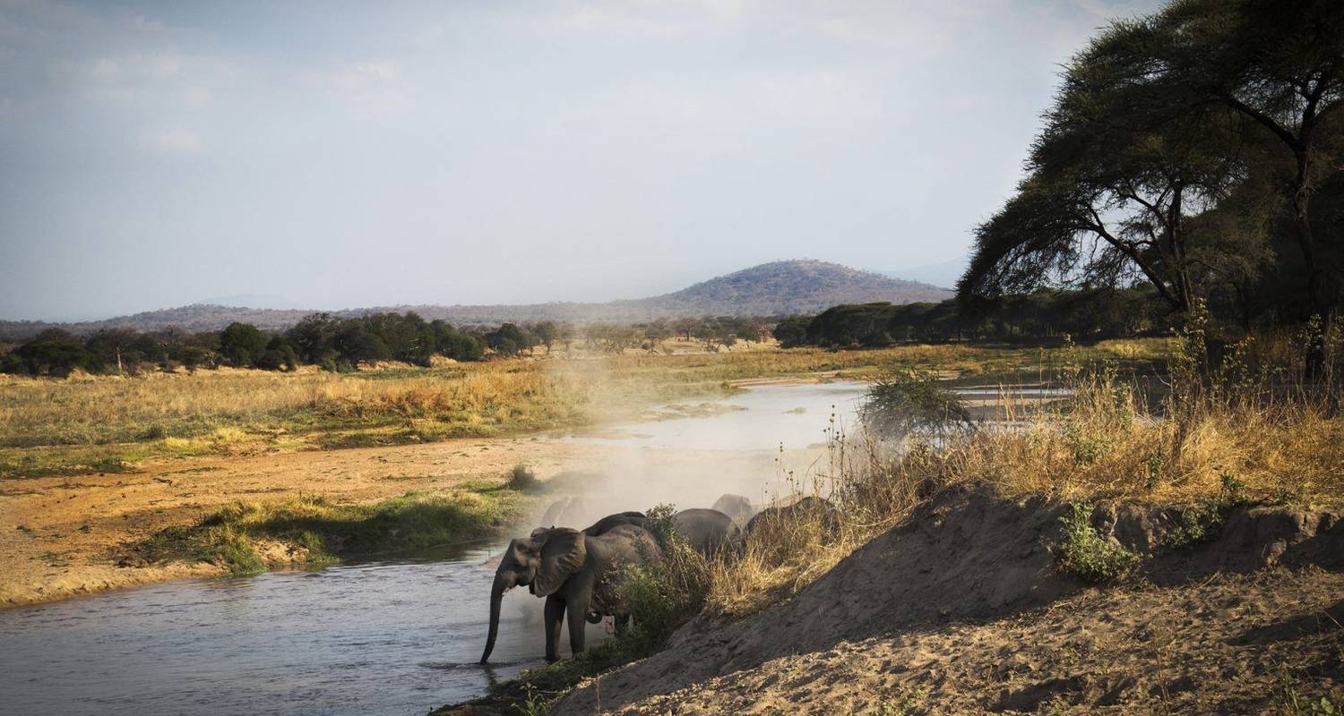 4-Day The best campsite safaris - Kilimanjaro Habitas - Safarigo