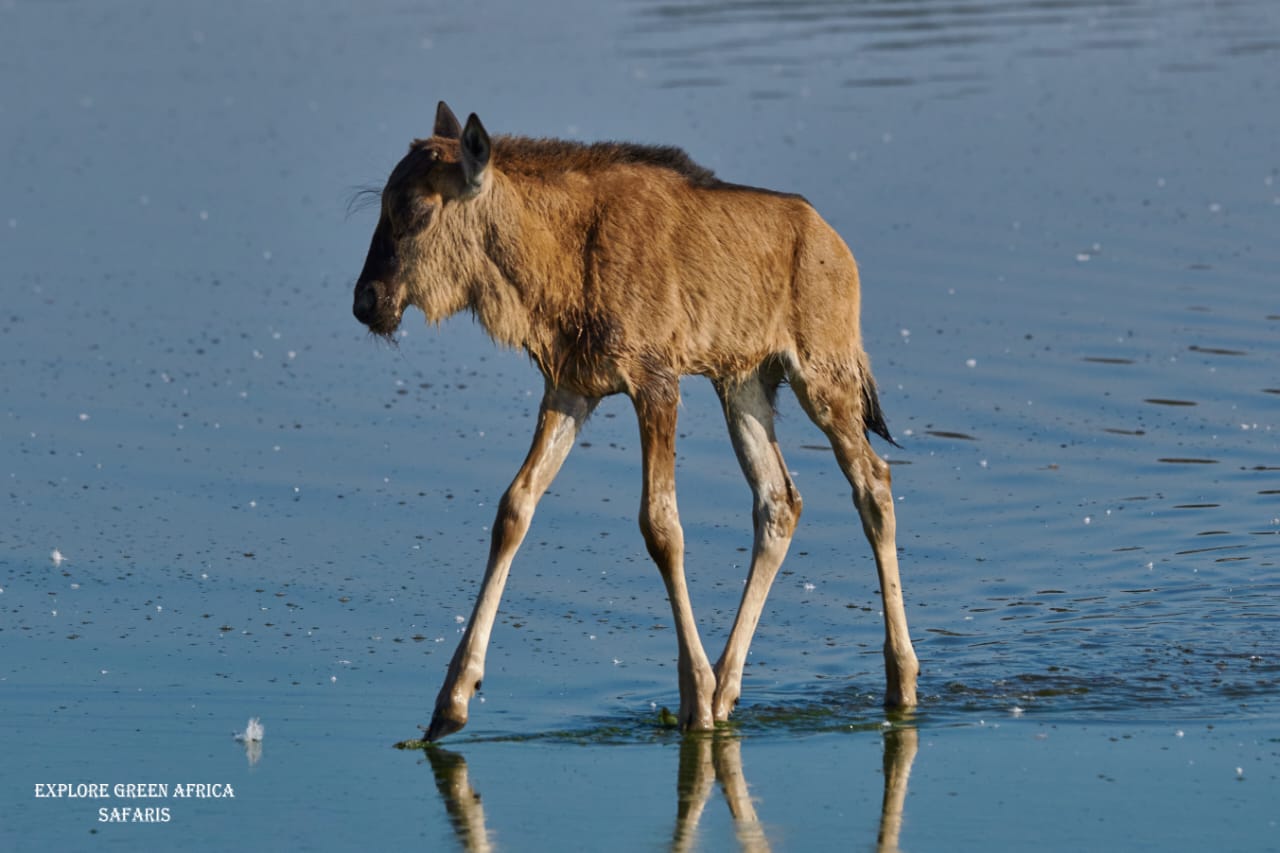 2-Days Tarangire Park and Ngorongoro Crater