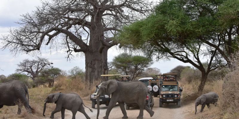 2-Day Tarangire & Ngorongoro Crater Safari