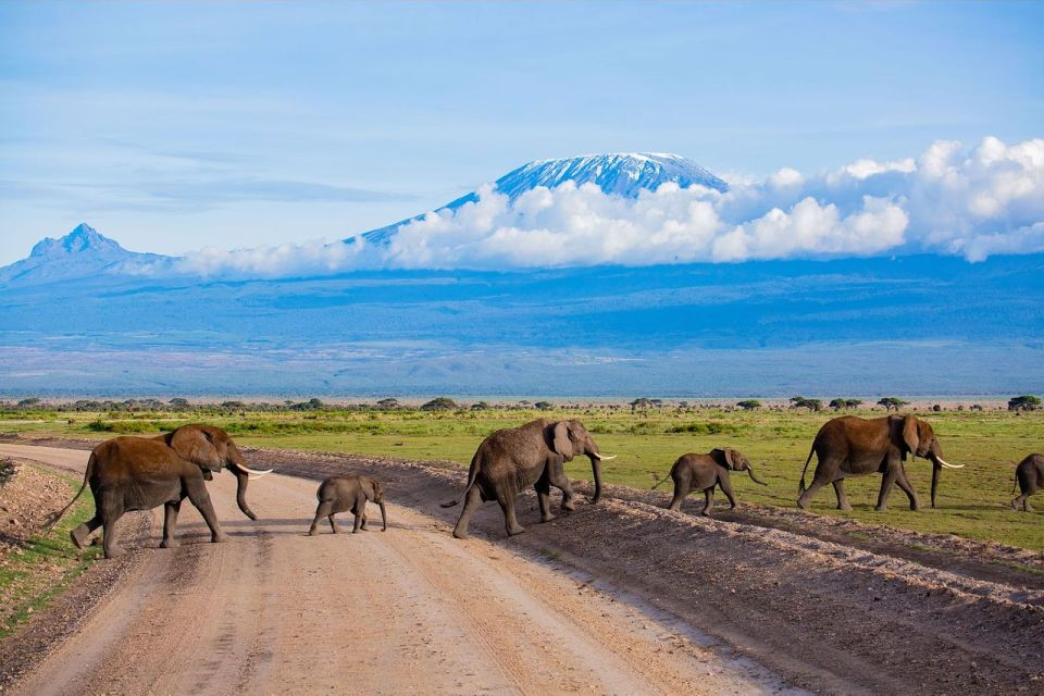 6- Days 5 Nights Kenya Photographic Safari