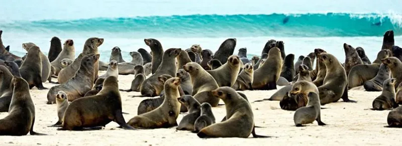 4-Day Sossusvlei and Swakopmund (Lodging)