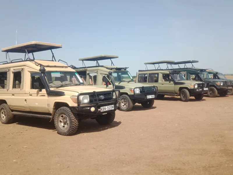4-tägige Erkundungstour durch die Masai Mara