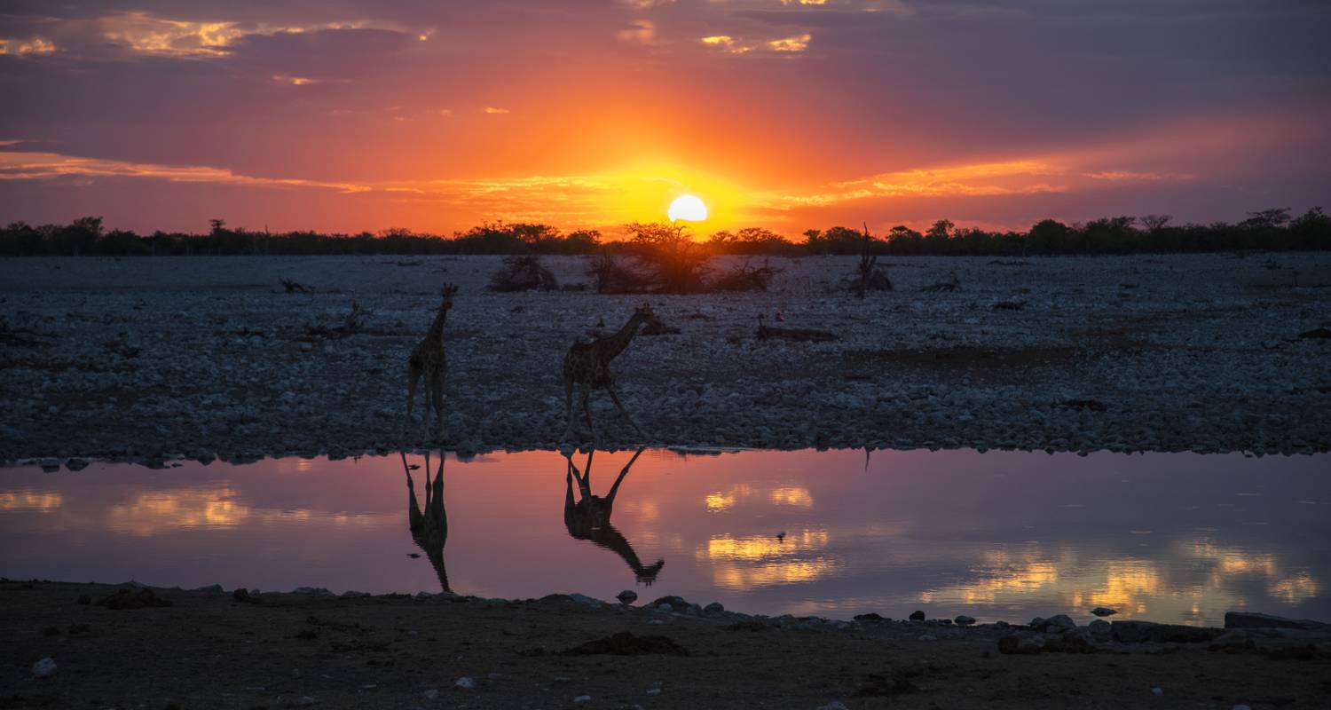 6-Day Luxury Tanzania Safari & Arusha Relaxation: Tarangire, Serengeti & Ngorongoro