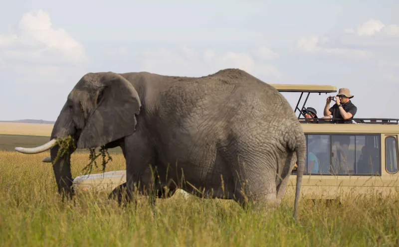 3 Days Tanzania Big 5 Budget Safari – Tarangire, Ngorongoro & Lake Manyara