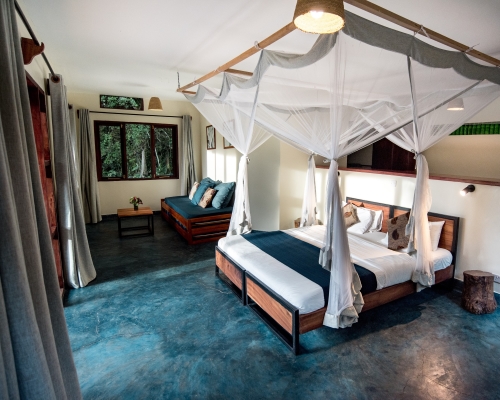 8-Day Adventure-Gorilla Trekking, and Rafting in Uganda