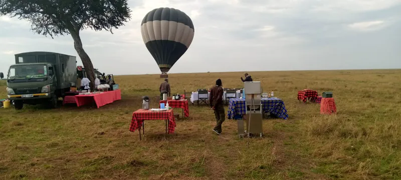 7 Day Luxury Africa Wildlife Lake Nakuru Masai Mara Amboseli Safaris