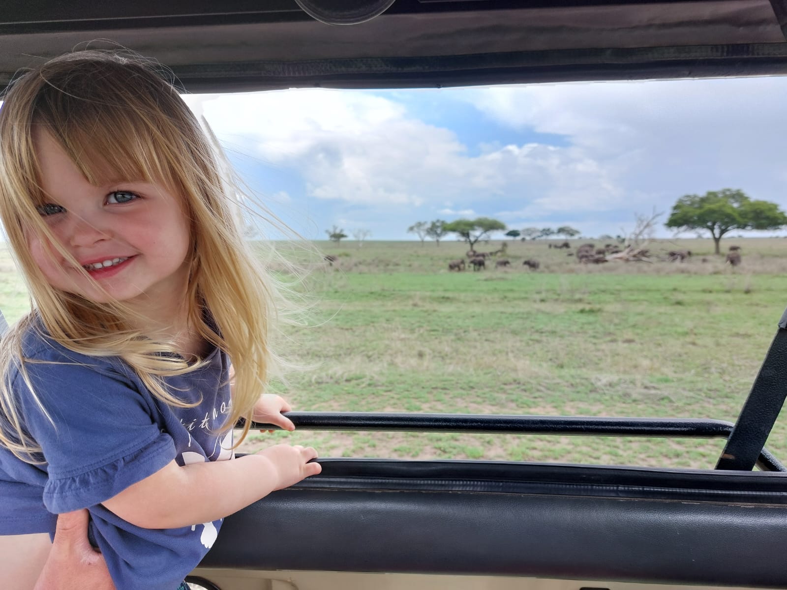 4-Day Tarangire, Ngorongoro, Serengeti & Mto Wa Mbu Tour