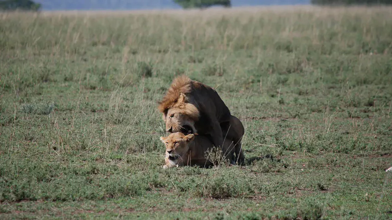 Tanzania Natural Wonders