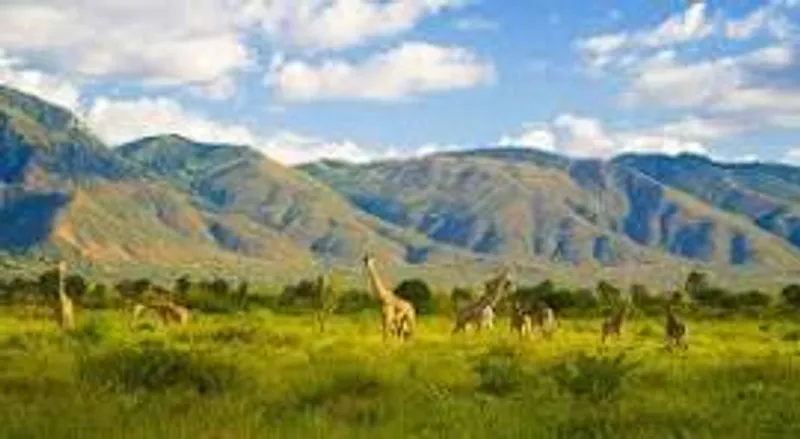 1 DAY TRIP- MKOMANZI RHINO SAFARI