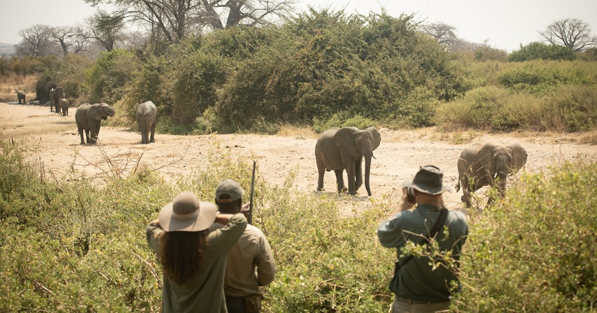 8-DAY SOUTHERN SOUL SAFARI IN TANZANIA's BEAUTY