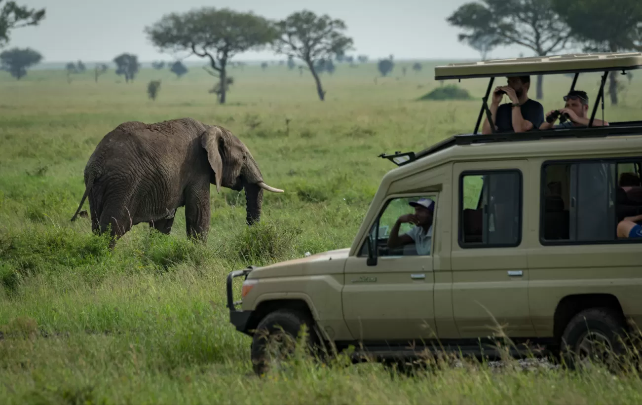 4 Days -Tanzania mid-range Lodge Safaris Trip