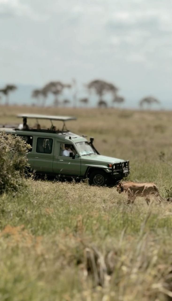 3-Day Fly in & Fly-out Safari from Zanzibar to Mikumi National Park