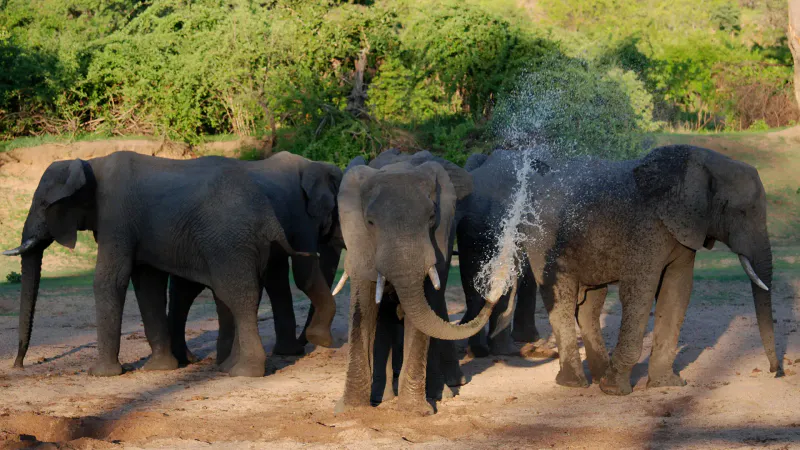 2 Days / 1 Night - Arusha and Tarangire National Parks Safari