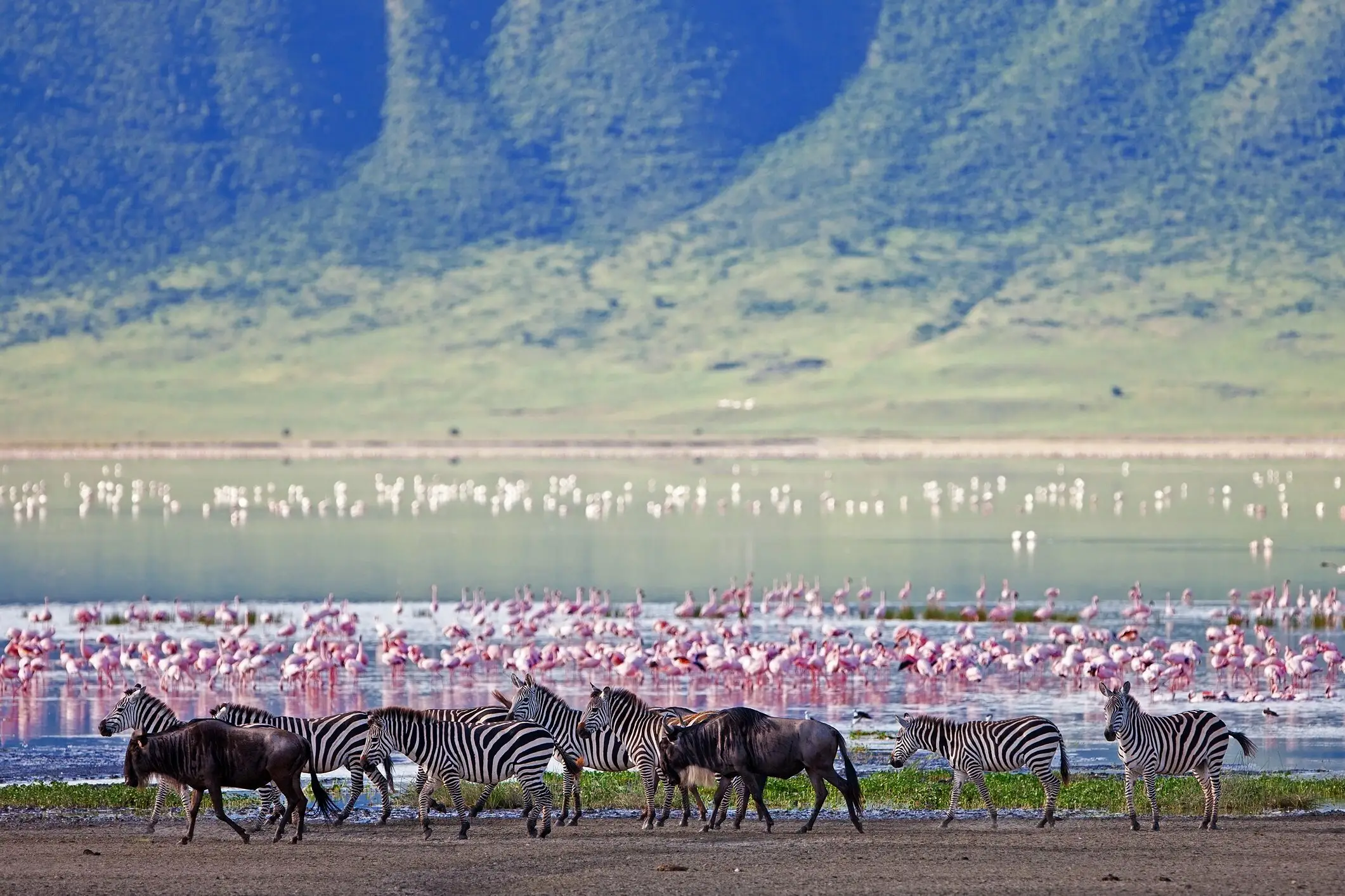 Ngorongoro Crater Day Trip