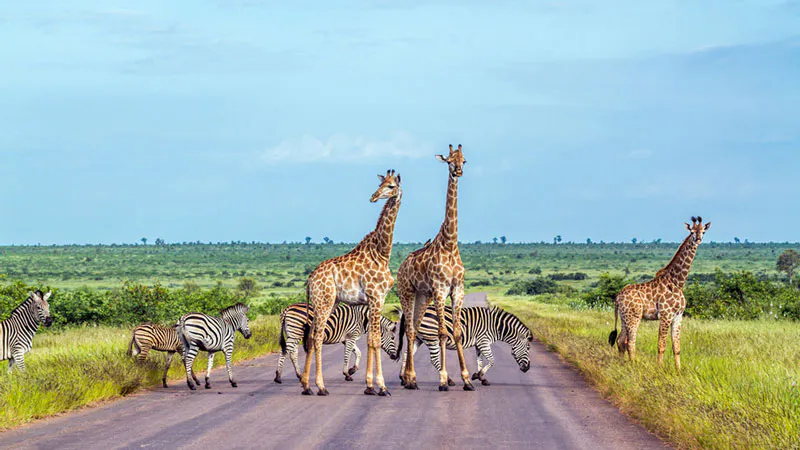 7-Day Sossusvlei, Swakopmund and Etosha National Park (Camping)