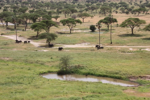 2-Day Tarangire & Ngorongoro Crater