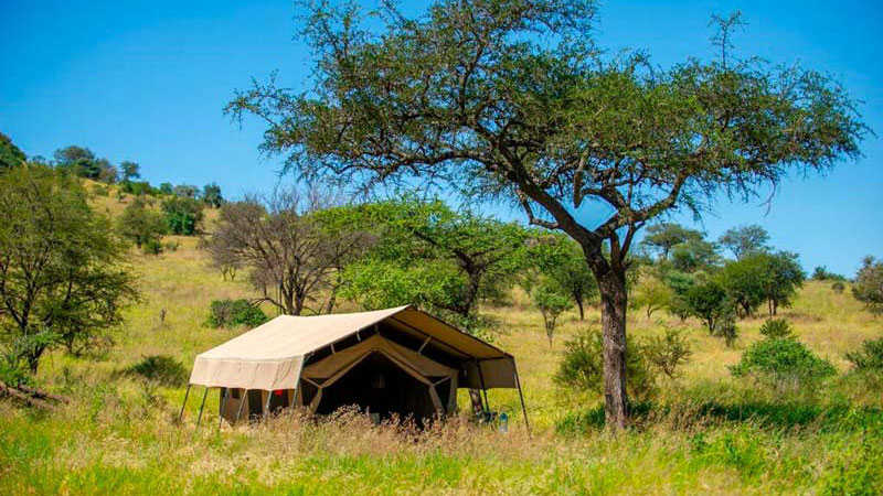Ndutu Kati Kati Tented Camp