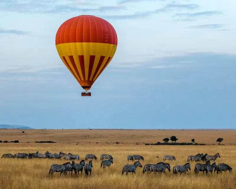 5-Day Lake Naivasha, Lake Nakuru, Masai Mara Budget