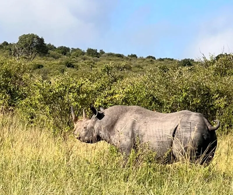 5 Days Classic Kenya Tour: Lake Naivasha- Lake Nakuru National Park - Masai Mara National Reserve
